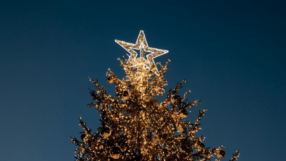 A Christmas tree decorated with golden lights and topped with a glowing star-shaped tree topper against a deep blue evening sky.