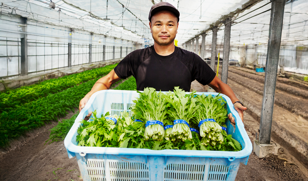 man holding a basket of greens