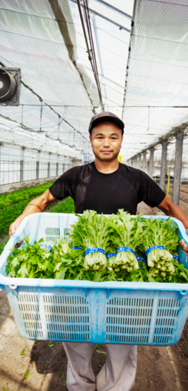 Advance the Gospel Through Aquaponics