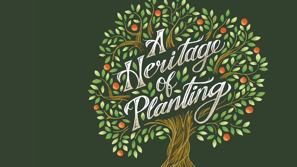 A illustration of a tree with the words, 