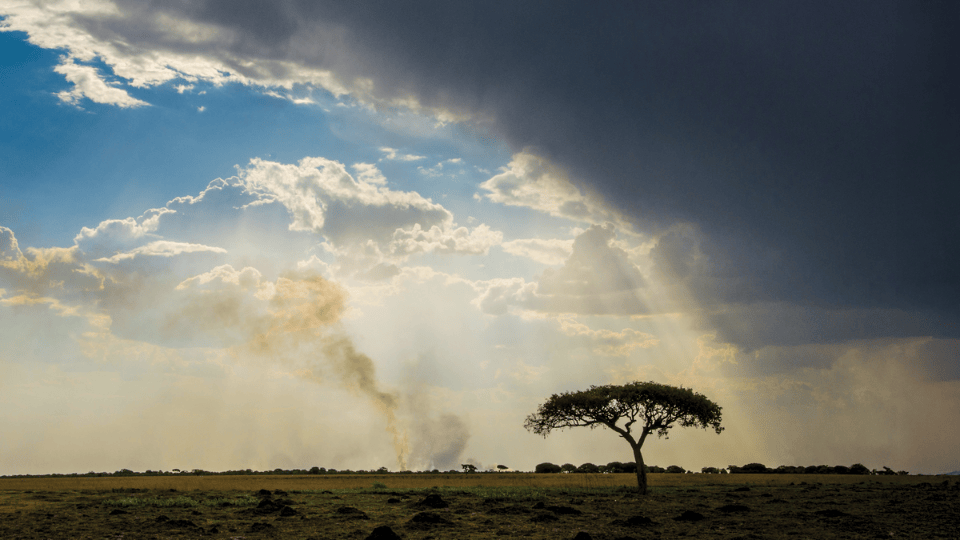 A lone acacia tree stands on an open grassy plain under dramatic skies, with dark storm clouds on the right and bright sun rays breaking through clouds on the left, illuminating smoke rising in the distance.