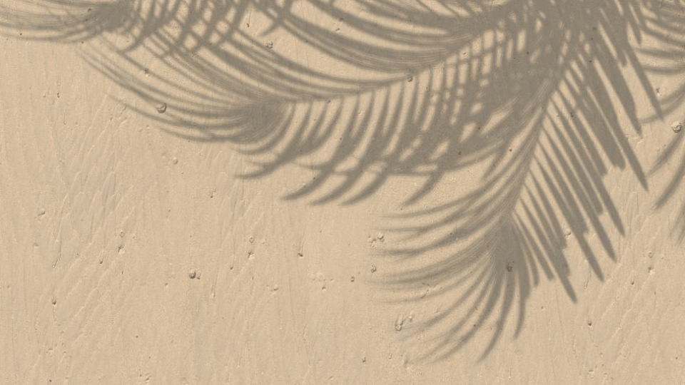Shadow of palm fronds cast across a textured sandy surface, creating a soft, natural pattern in muted beige tones.