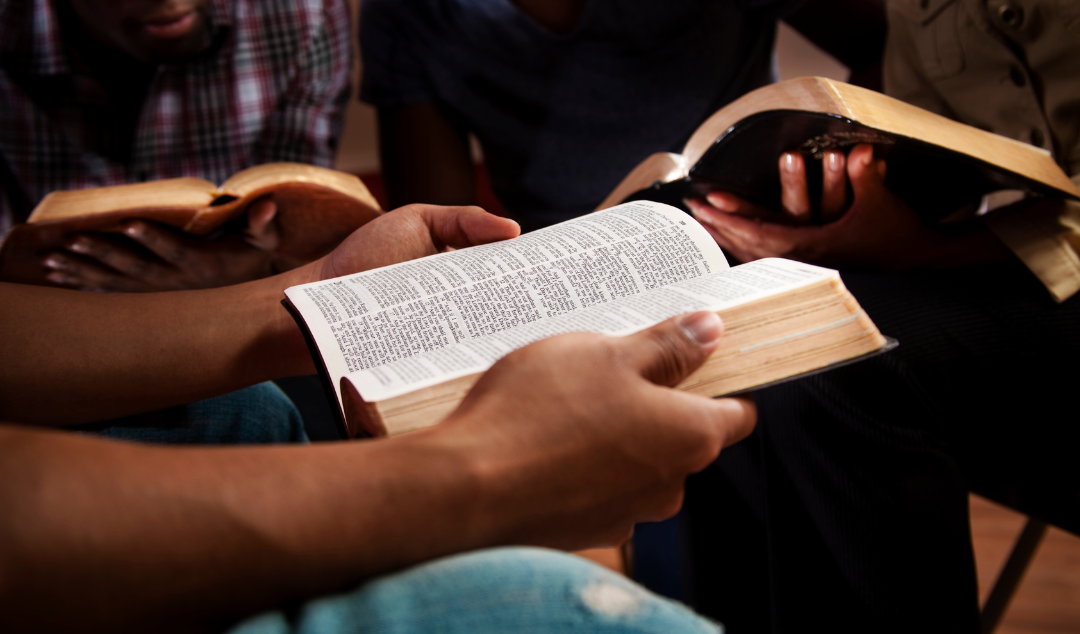 group of people reading the Bible