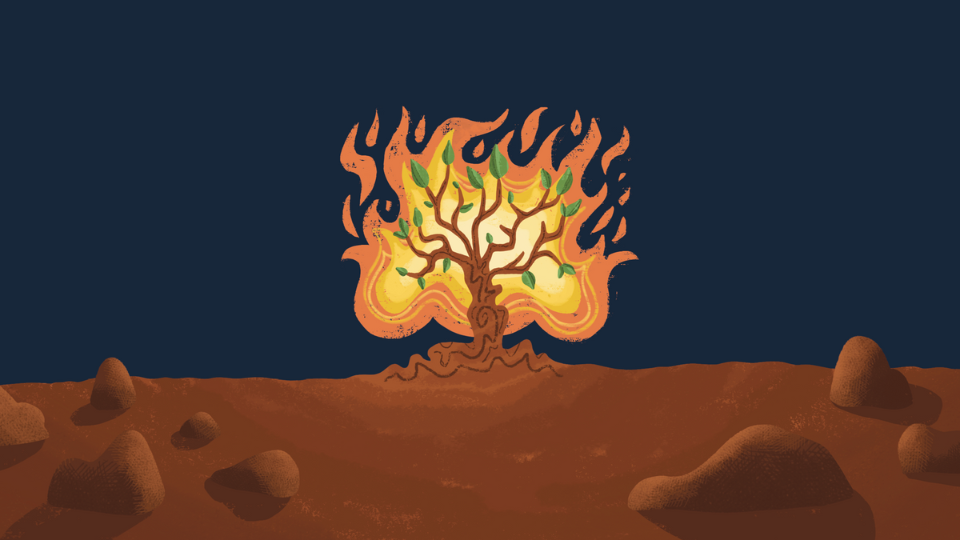 Illustration of a tree engulfed in bright orange and yellow flames, with green leaves still visible on its branches. The tree stands on a reddish-brown rocky ground under a dark blue sky, creating a dramatic contrast.